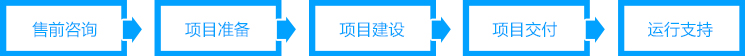 售前咨询、项目准备、项目建设、项目交付、运行支持